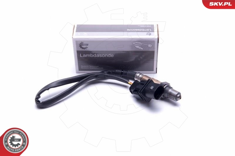 Oxygen Sensor